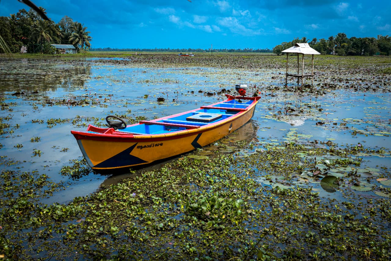 Colorful Country Boat Poling Through Malarikkal Backwaters