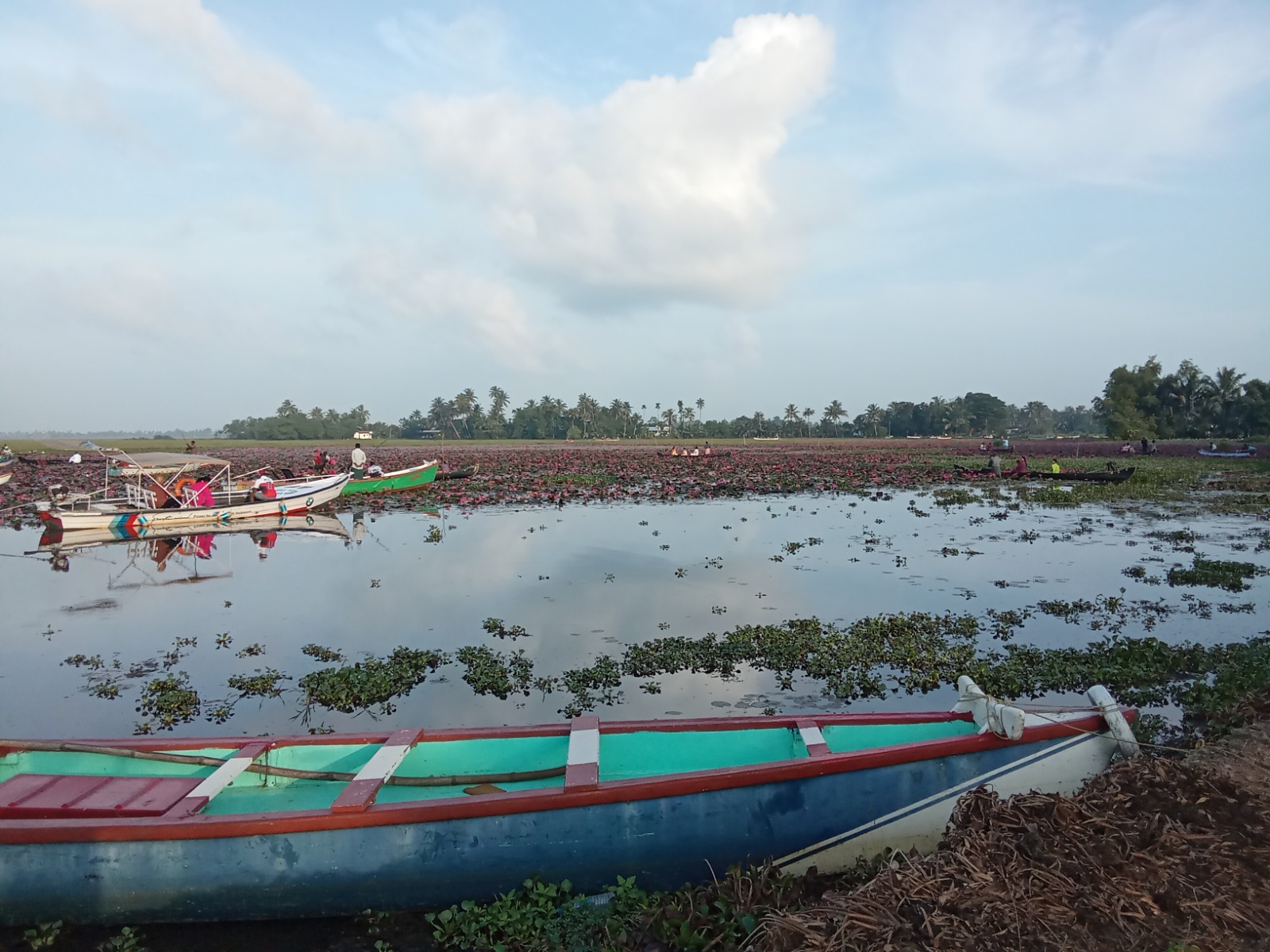 Vellamkulam