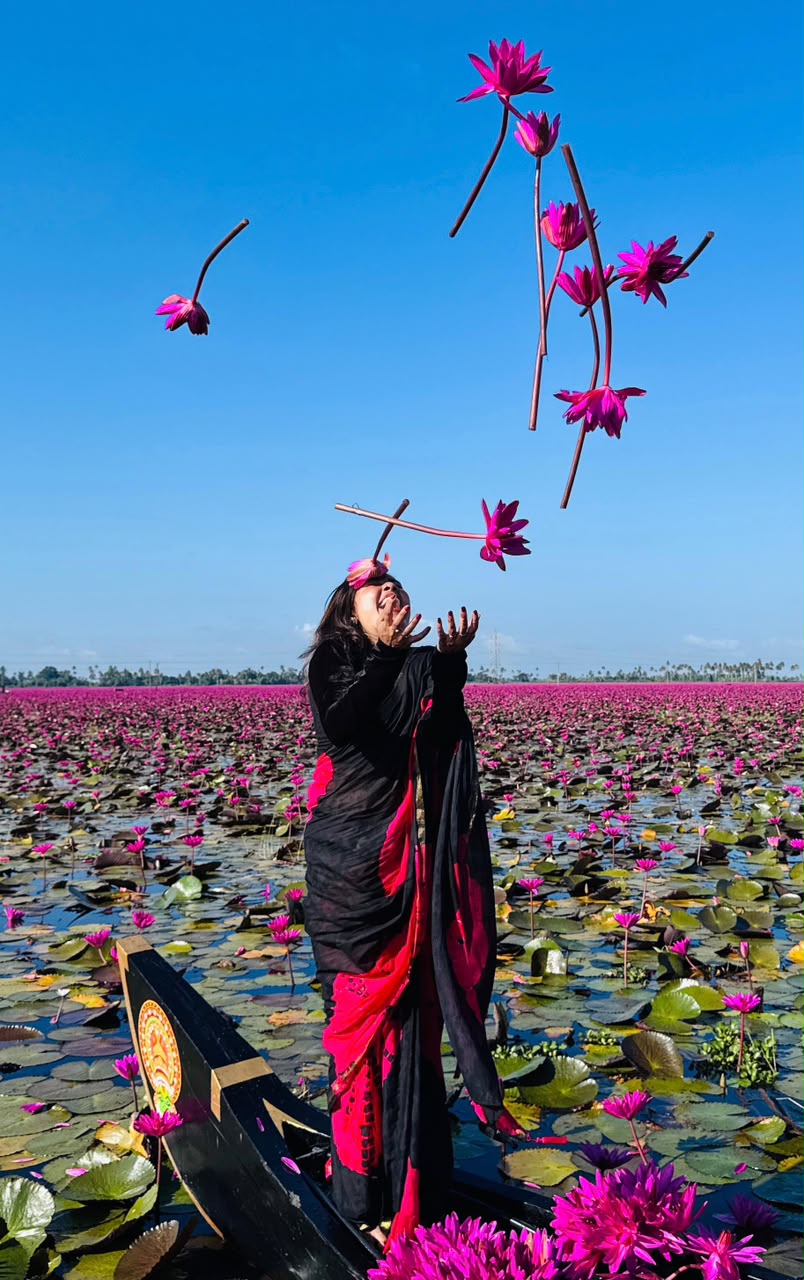 Shower of Pink Lilies at Malarikkal