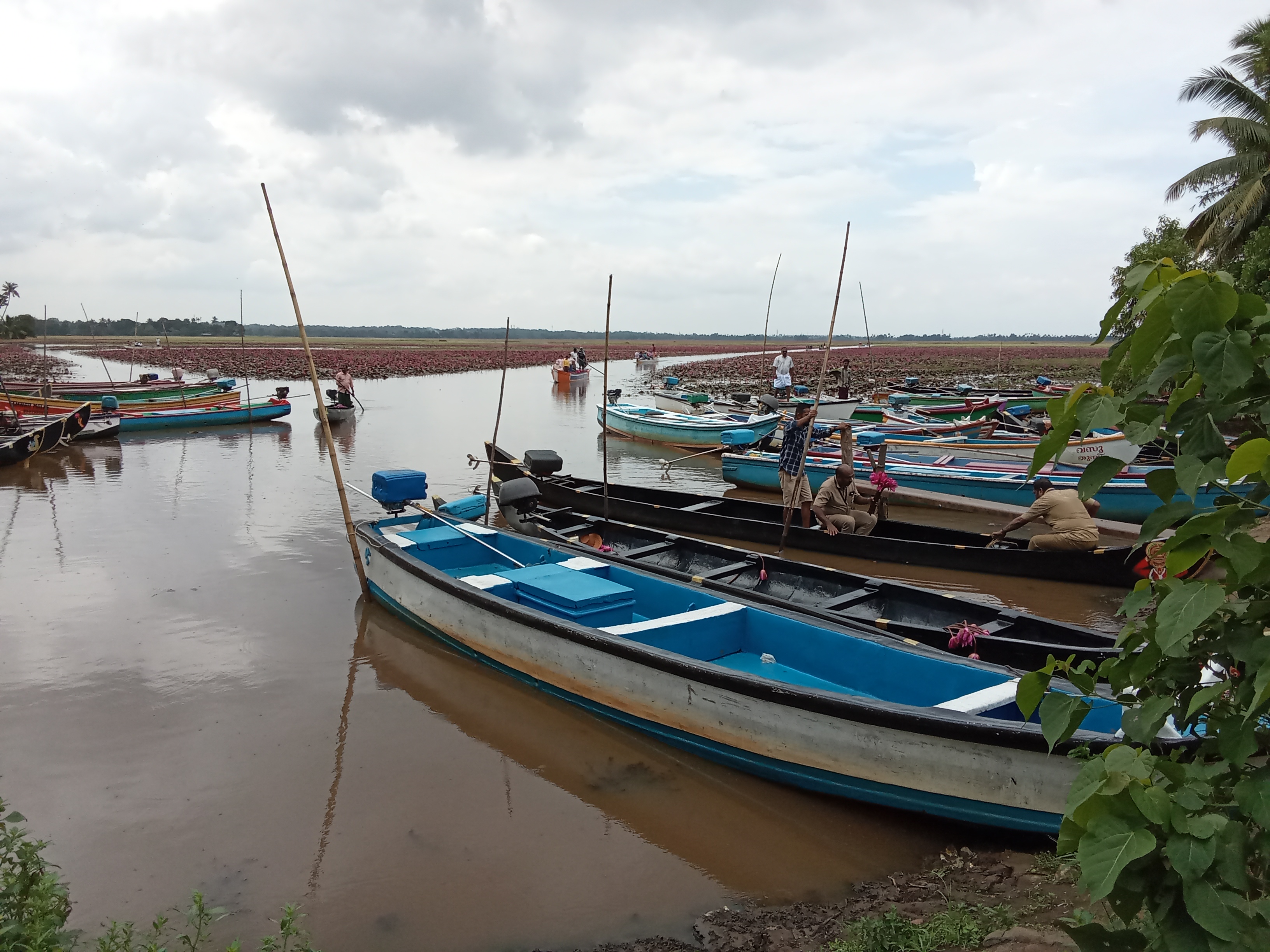 Kalangari