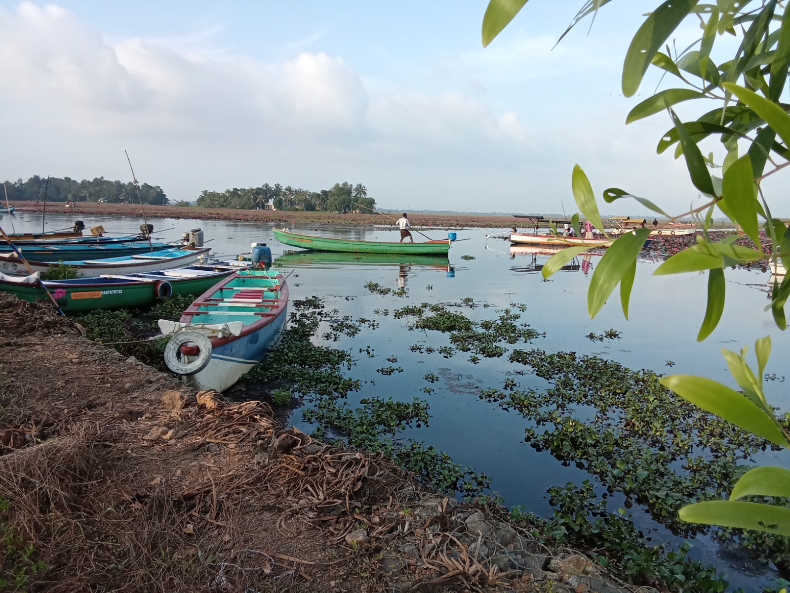 Adivakkal