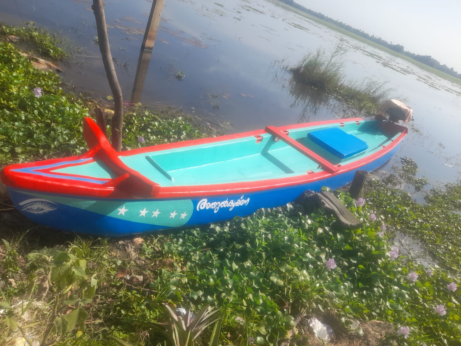 Adul krisha