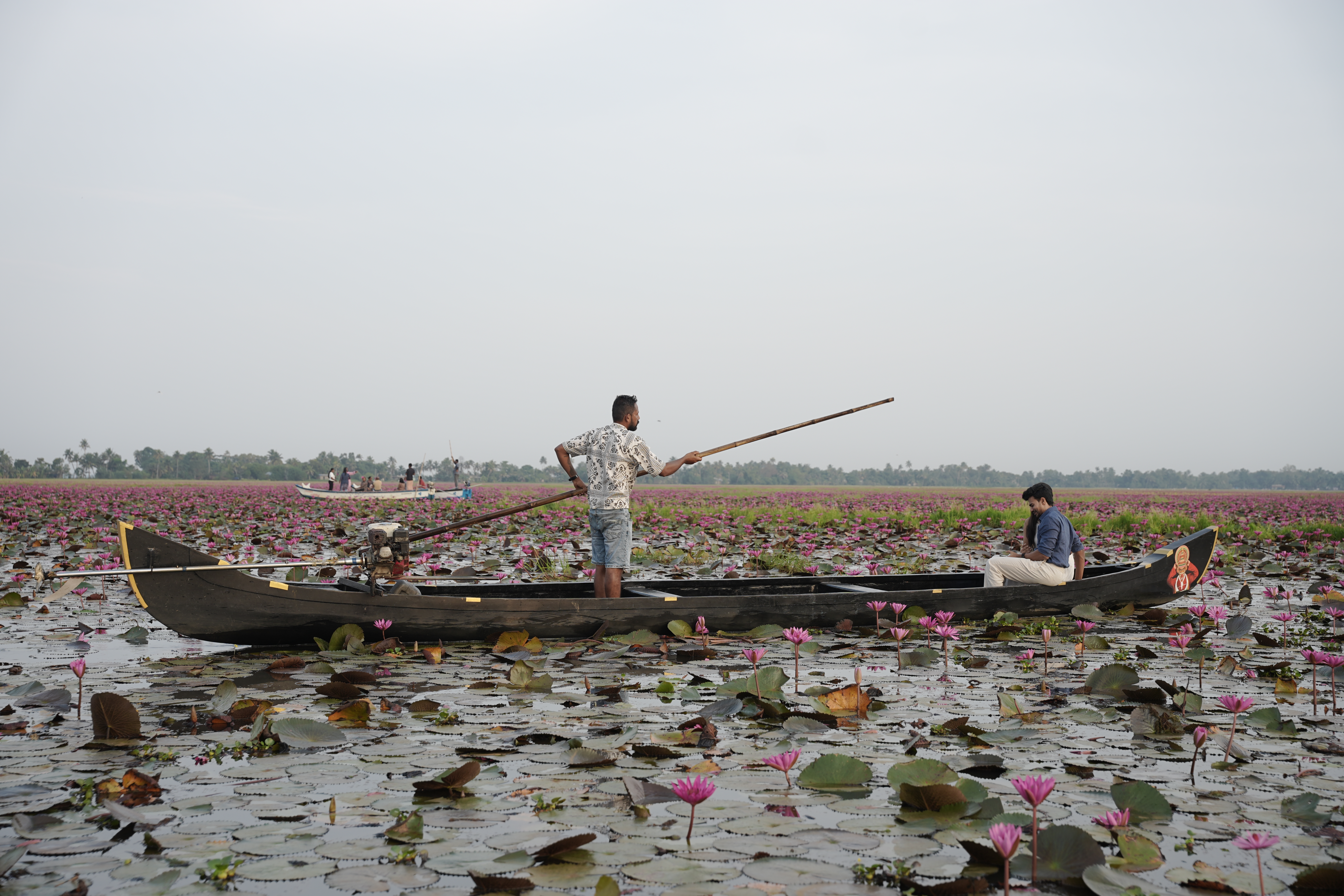 Scenic Country Boat Ride Through Malarikkal Lily Fields