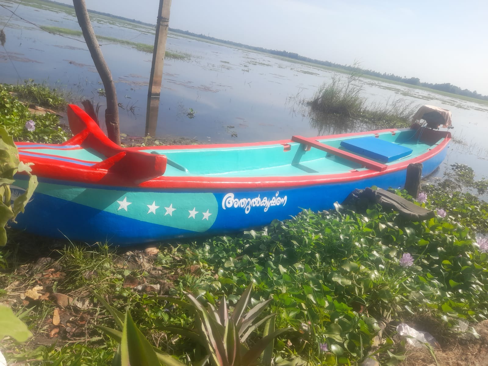 Adul krisha