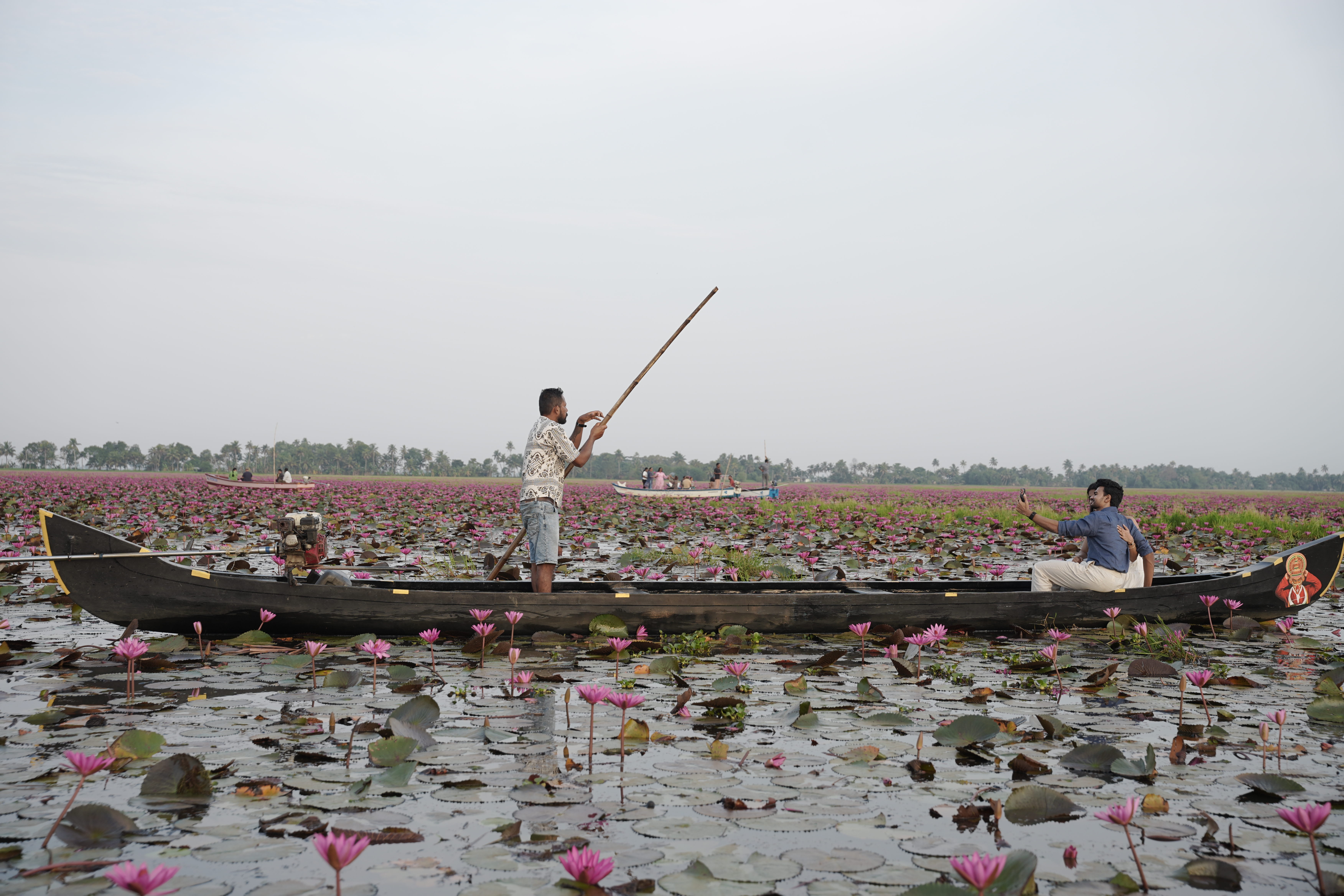Scenic Country Boat Ride Through Malarikkal Lily Fields